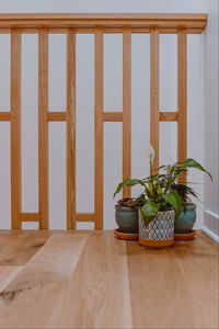Preview wallpaper plants, leaves, pots, aesthetics