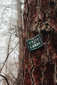 Preview wallpaper plate, bark, tree, inscription, forest