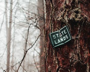 Preview wallpaper plate, bark, tree, inscription, forest