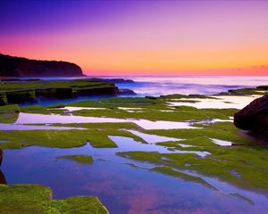 Preview wallpaper plates, moss, coast, stone, water, sea, horizon, orange, evening