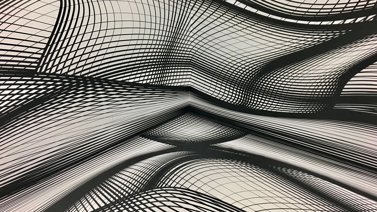 Wallpaper plexus, monochrome, lines, wavy, shapes