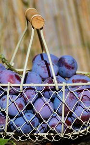 Preview wallpaper plum, fruit, basket