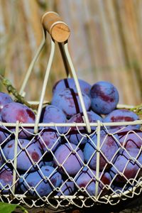 Preview wallpaper plum, fruit, basket