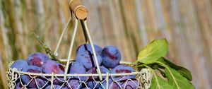 Preview wallpaper plum, fruit, basket