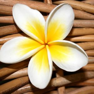 Preview wallpaper plumeria, flower, close up, decoration