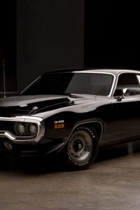 Preview wallpaper plymouth, road runner, 340, rm23