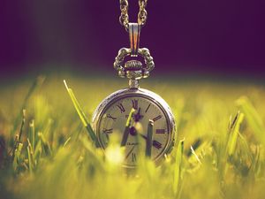 Preview wallpaper pocket watch, grass, chain, cover, design