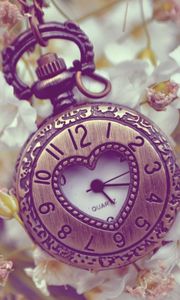 Preview wallpaper pocket watches, flowers, background, form