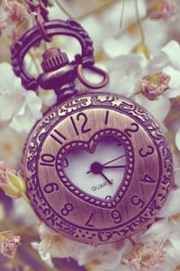 Preview wallpaper pocket watches, flowers, background, form