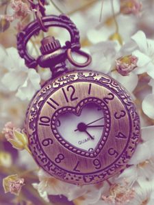 Preview wallpaper pocket watches, flowers, background, form