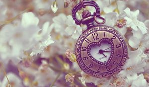 Preview wallpaper pocket watches, flowers, background, form