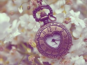 Preview wallpaper pocket watches, flowers, background, form