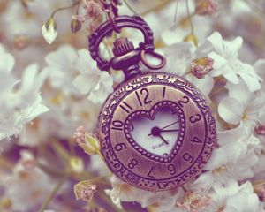 Preview wallpaper pocket watches, flowers, background, form