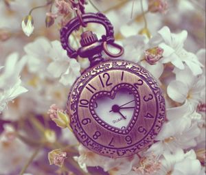 Preview wallpaper pocket watches, flowers, background, form