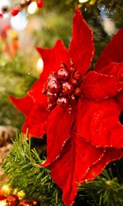 Preview wallpaper poinsettia, flower, decoration, leaves, tree, red, christmas, new year, festive