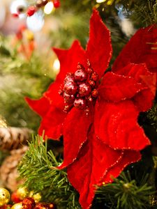 Preview wallpaper poinsettia, flower, decoration, leaves, tree, red, christmas, new year, festive