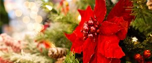 Preview wallpaper poinsettia, flower, decoration, leaves, tree, red, christmas, new year, festive