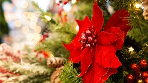 Preview wallpaper poinsettia, flower, decoration, leaves, tree, red, christmas, new year, festive