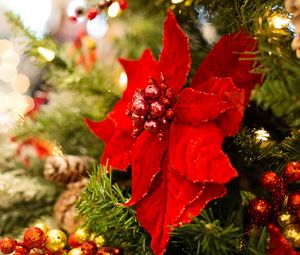 Preview wallpaper poinsettia, flower, decoration, leaves, tree, red, christmas, new year, festive