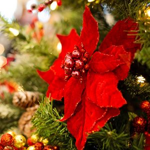 Preview wallpaper poinsettia, flower, decoration, leaves, tree, red, christmas, new year, festive