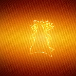 Preview wallpaper pokemon, typhlosion, badger