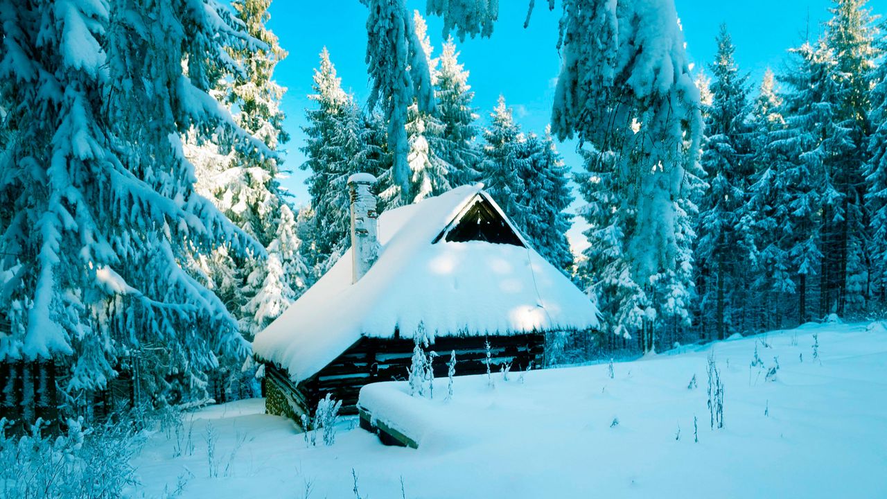 Wallpaper poland, house, forest, snow, winter