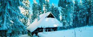 Preview wallpaper poland, house, forest, snow, winter