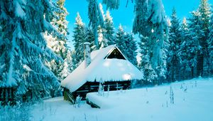 Preview wallpaper poland, house, forest, snow, winter