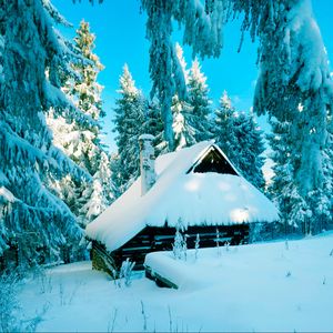 Preview wallpaper poland, house, forest, snow, winter