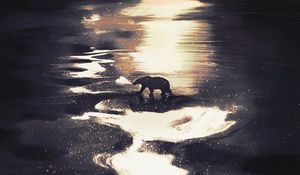 Preview wallpaper polar bear, bear, twilight, wildlife, art