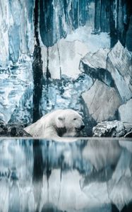 Preview wallpaper polar bear, bear, water