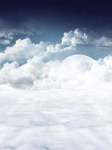 Preview wallpaper polar bear, clouds, snow