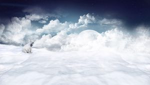 Preview wallpaper polar bear, clouds, snow