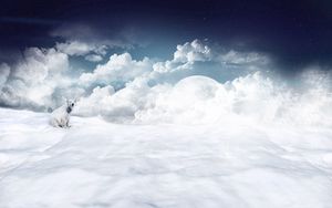 Preview wallpaper polar bear, clouds, snow