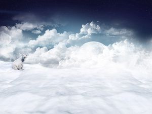 Preview wallpaper polar bear, clouds, snow