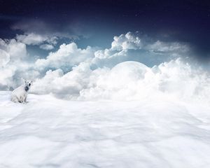 Preview wallpaper polar bear, clouds, snow