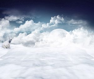 Preview wallpaper polar bear, clouds, snow