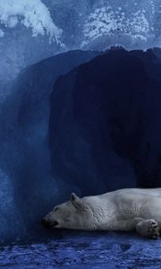 Preview wallpaper polar bear, ice, blue