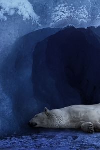 Preview wallpaper polar bear, ice, blue