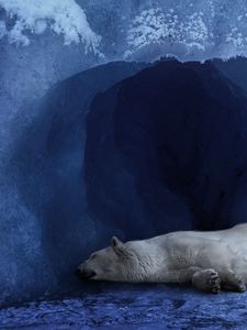 Preview wallpaper polar bear, ice, blue