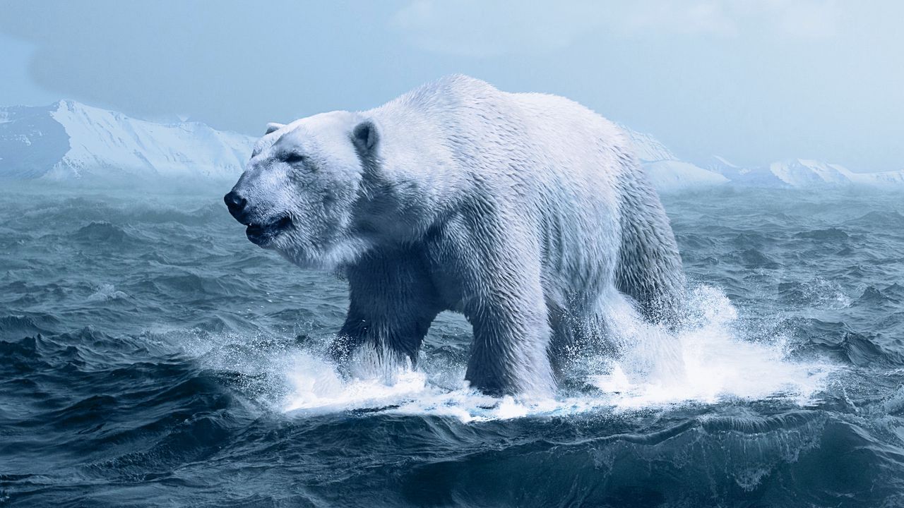 Wallpaper polar bear, ocean, photoshop, wave