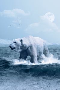 Preview wallpaper polar bear, ocean, photoshop, wave