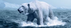Preview wallpaper polar bear, ocean, photoshop, wave