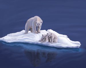 Preview wallpaper polar bears, drawing, island