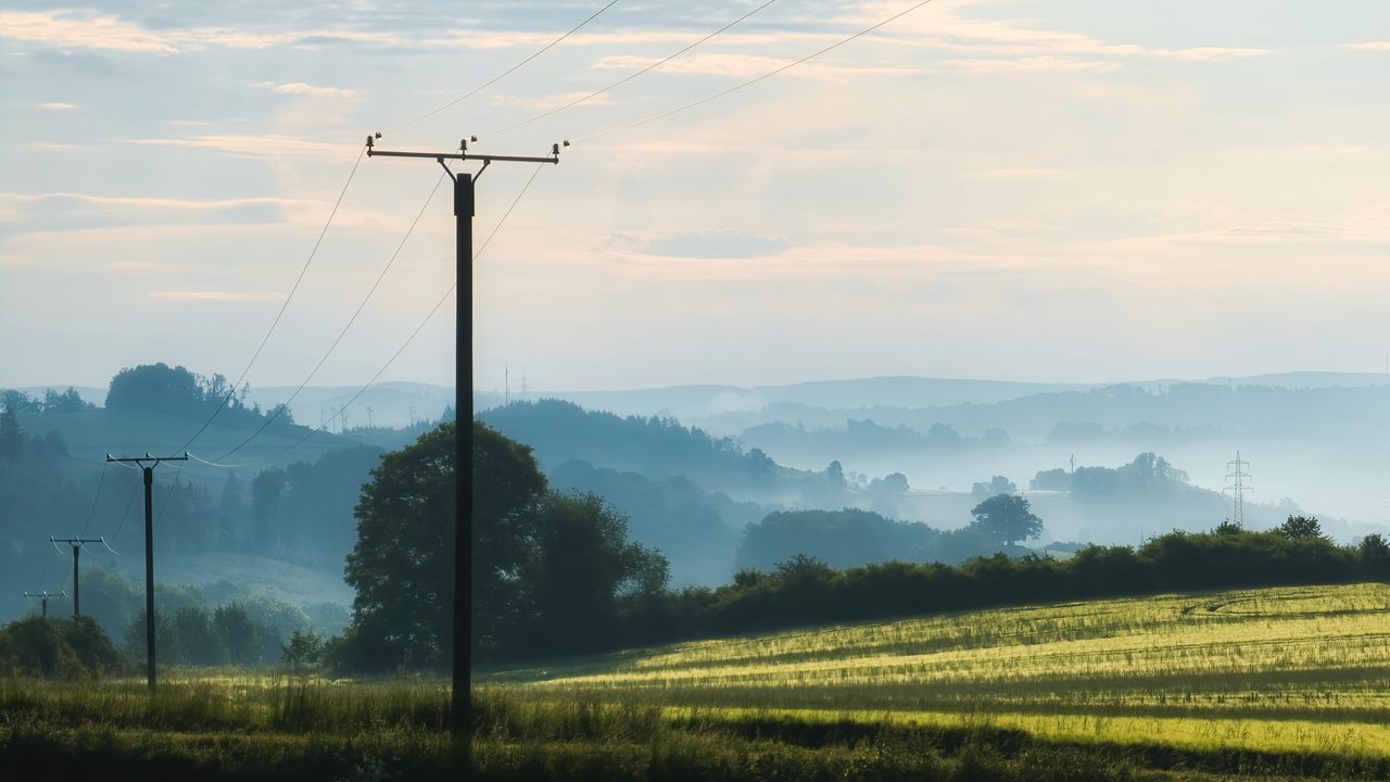 Wallpaper poles, wires, field, trees, nature