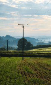 Preview wallpaper poles, wires, field, trees, nature