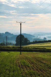 Preview wallpaper poles, wires, field, trees, nature