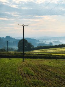 Preview wallpaper poles, wires, field, trees, nature