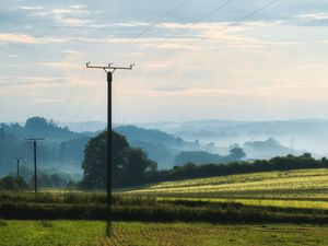 Preview wallpaper poles, wires, field, trees, nature