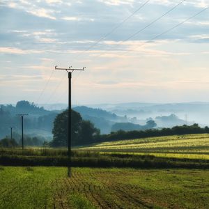 Preview wallpaper poles, wires, field, trees, nature